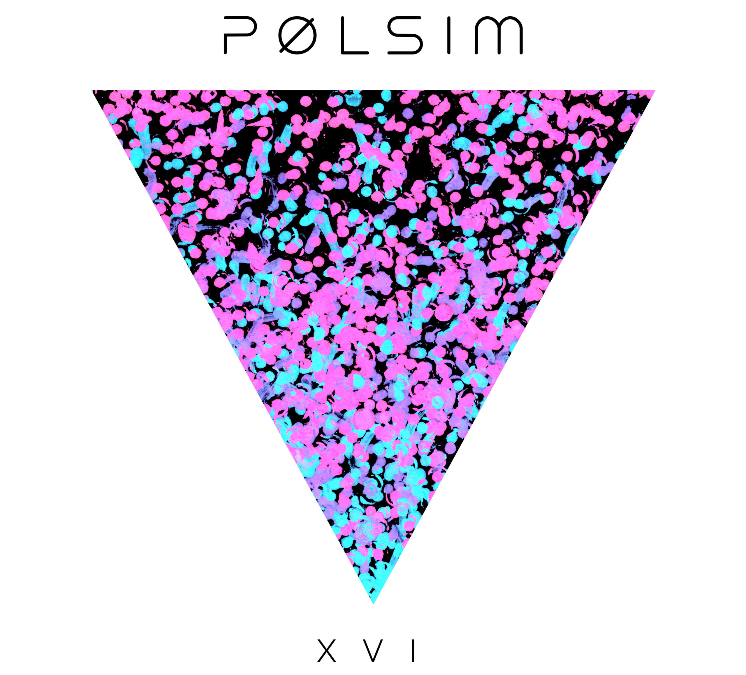 portada single XVI de Pølsim