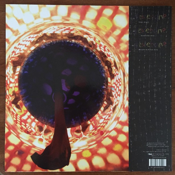 Animal Collective - Peacebone - Imagen 2