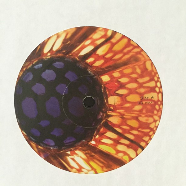 Animal Collective - Peacebone - Imagen 3