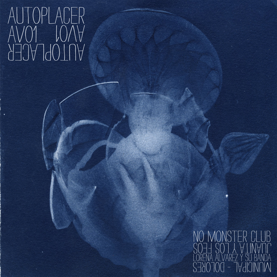 Varios - Autoplacer - AV01 - Imagen 2