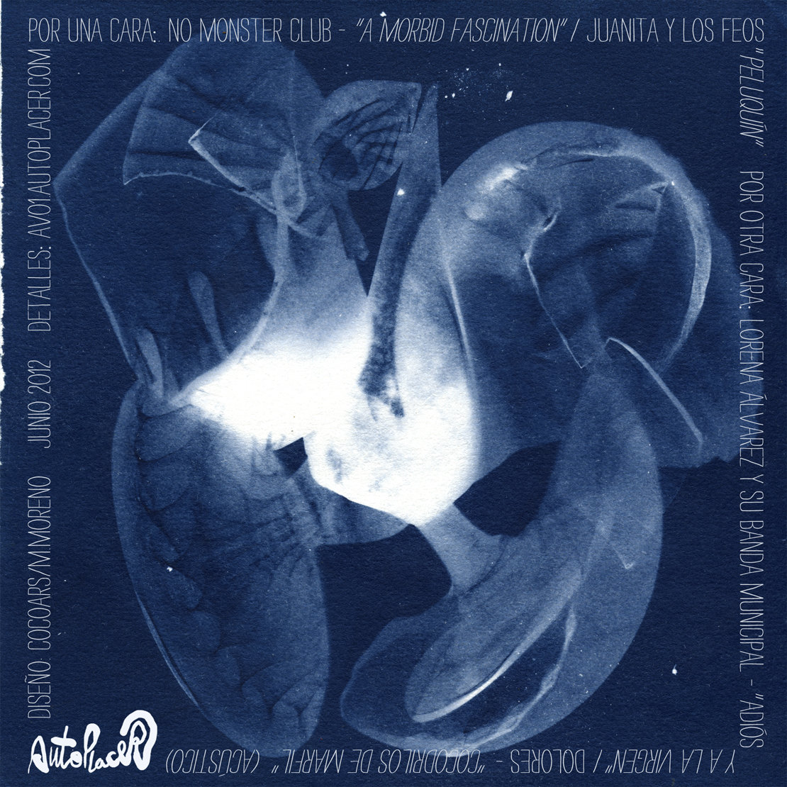 Varios - Autoplacer - AV01 - Imagen 3